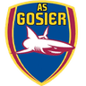 team logo