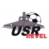 team logo