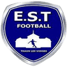 team logo