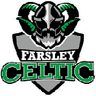 شعار فريق دونيجال سلتيك