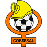 شعار فريق كوبريسال