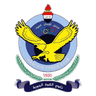 شعار فريق القوة الجوية