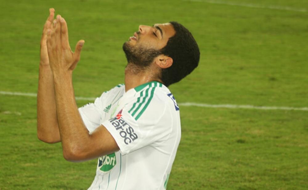 الصبار يعود إلى الرجاء 