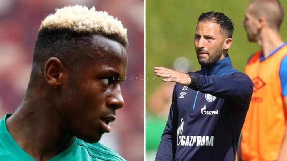 مدرب شالكه يريد إيصال منديل لـ"العالمية"