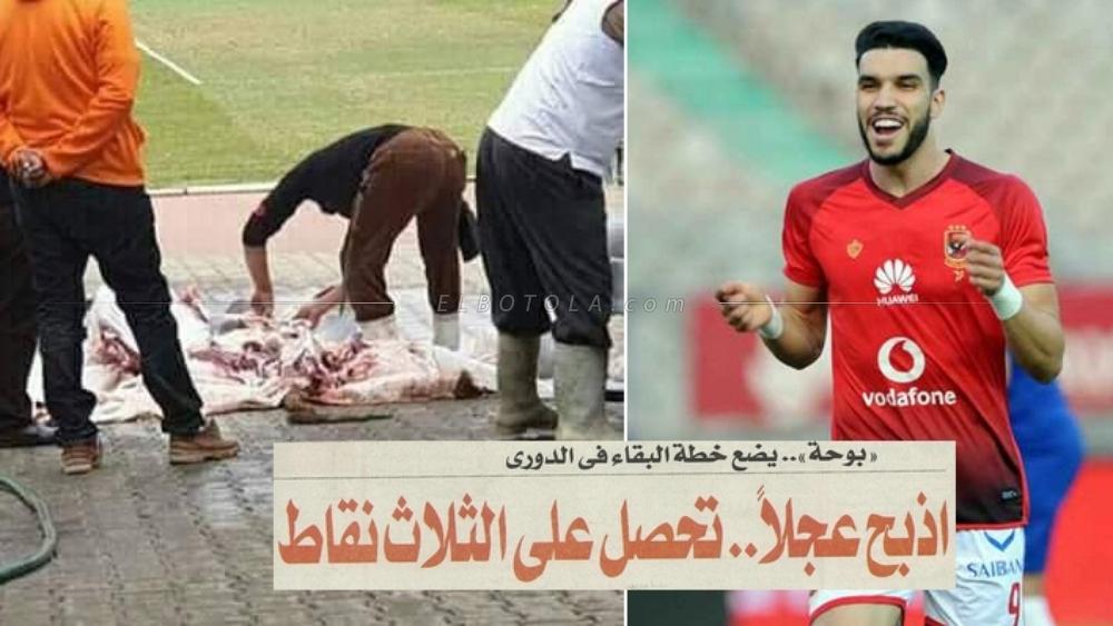 كيف ومتى أصبح "ذبح العجل" عادة الأندية المصرية؟