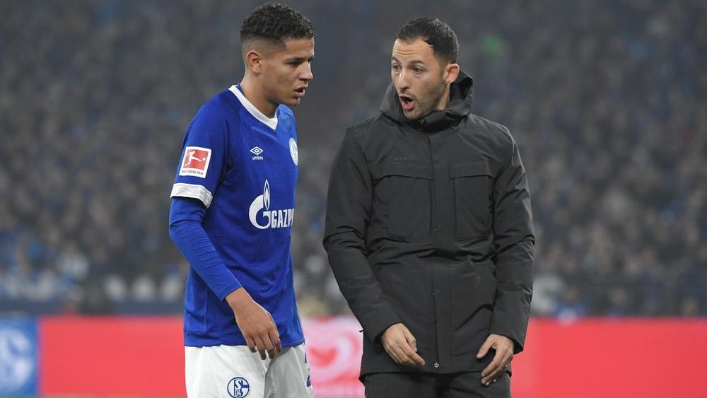 مدرب شالكه يُنبِّهُ حاريت ويكشف له "مِفتاح النَّجاح"