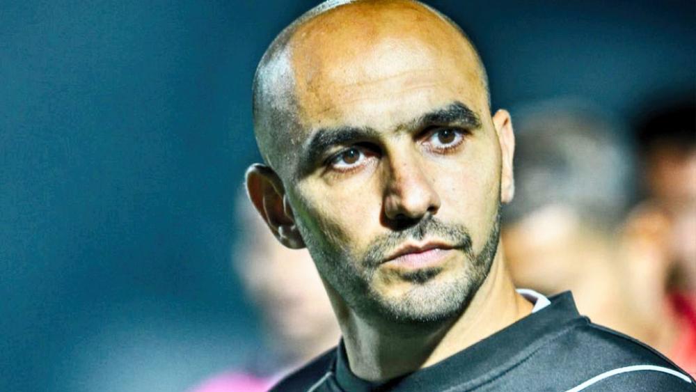 الجامعة تقرر توقيف وليد الركراكي لمباراة واحدة