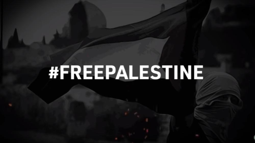 مجموعات المغانة تصدر أغنية "رجاوي فلسطيني"..وتفاعل جماهيري غير مسبوق بمختلف الألوان