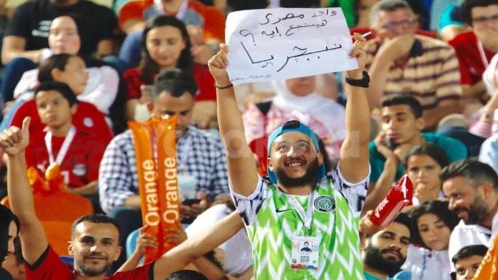 مصريون يُساندون نيجيريا أمام الجزائر ومناوشات بينهم وبين الجزائريين