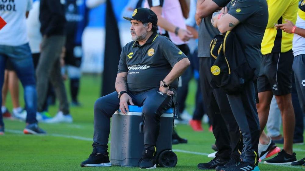 عودة مارادونا إلى التدريب تثير المشاعر في الأرجنتين