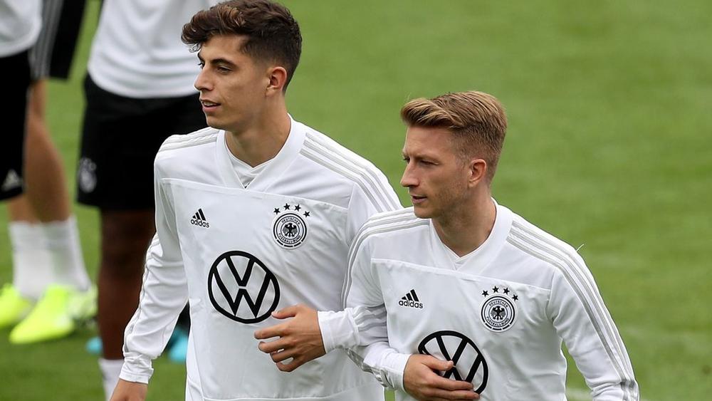 رويس: "لن نقبل بأي نتيجة غير الفوز على إيرلندا الشمالية"