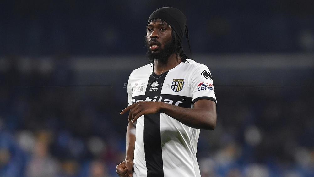 بارما يغرم الإيفواري جيرفينهو.. واللاعب يقدم اعتذاره للنادي