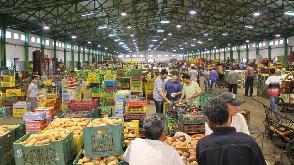 الكونفدرالية المغربية للفلاحة والتنمية القروية تطمئن المغاربة بخصوص استمرارية الإنتاج الفلاحي وتموين الأسواق