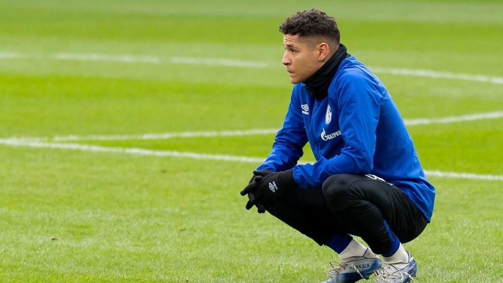 100 ألف يورو قيمة الغرامة المالية المفروضة على أمين حارث من شالكه04