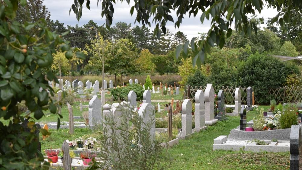 مغربية عالقة بمليلية تتعرض للاغتصاب .. والأمن المحلي يعتقل "المُعتدي" بعد بضع ساعات من الواقعة