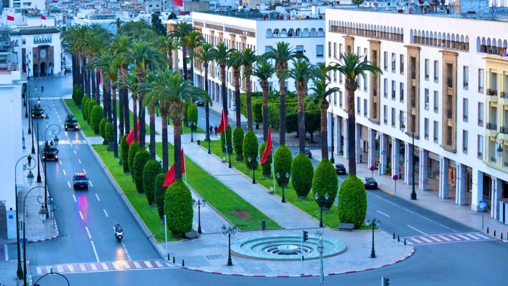 في آخر 16 ساعة .. جهة الرباط - سلا - القنيطرة الأكثر تضررا بـ31 حالة