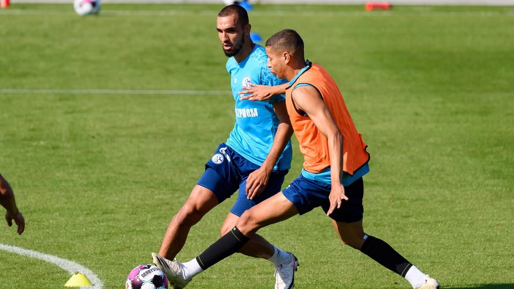 لاعب منتخب ألمانيا سابقا يهاجم بنطالب وحارث بسبب "أصولهما": "الفقر يلعب دورا في كيفية نشأتك".. وشالكه يرد!