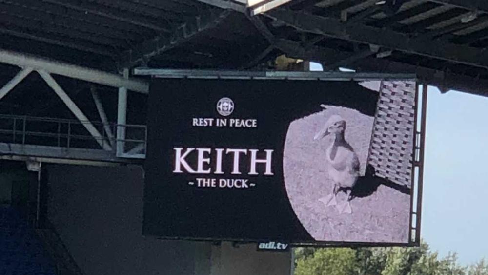 نادي "ويجان" الإنجليزي يقف حدادًا لتكريم "بطة ميتة" تخص أحد مشجعيه