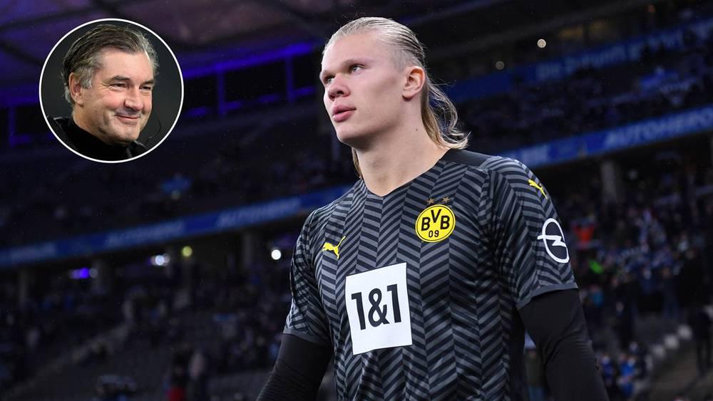 زورك (المدير الرياضي لدورتموند): "إمكانية رحيل هالاند تبقى واردة في ظروف محددة"