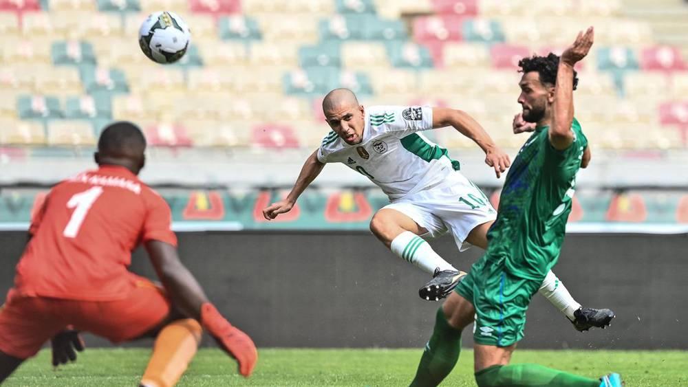 La Sierra Leone résiste face aux fennecs