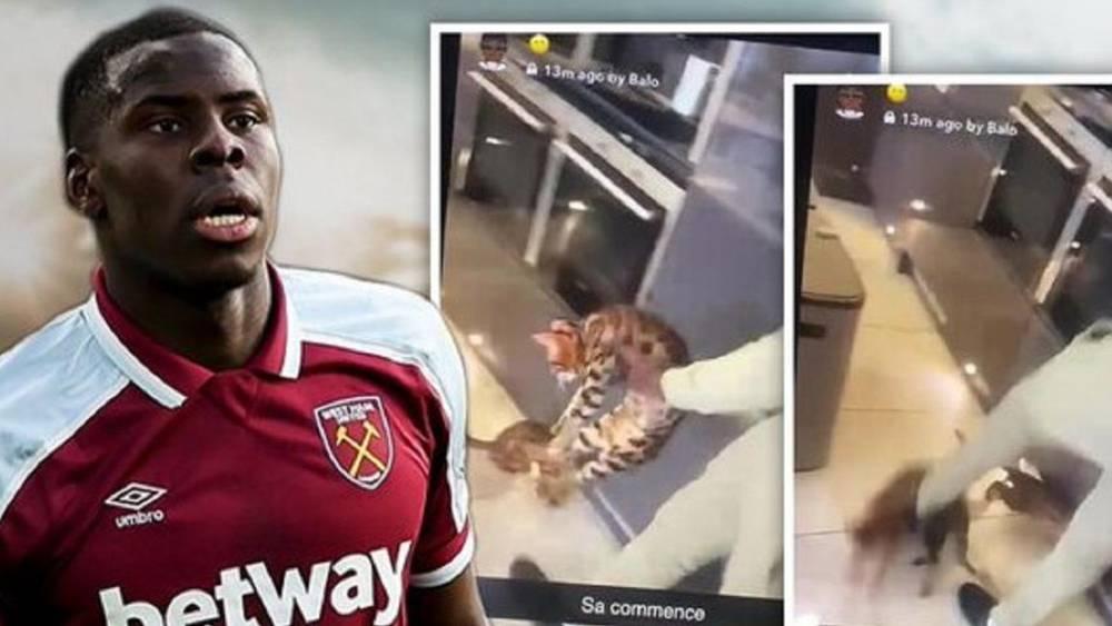 Plus de 100 000 personnes réclament des poursuites contre Zouma pour maltraitance animale