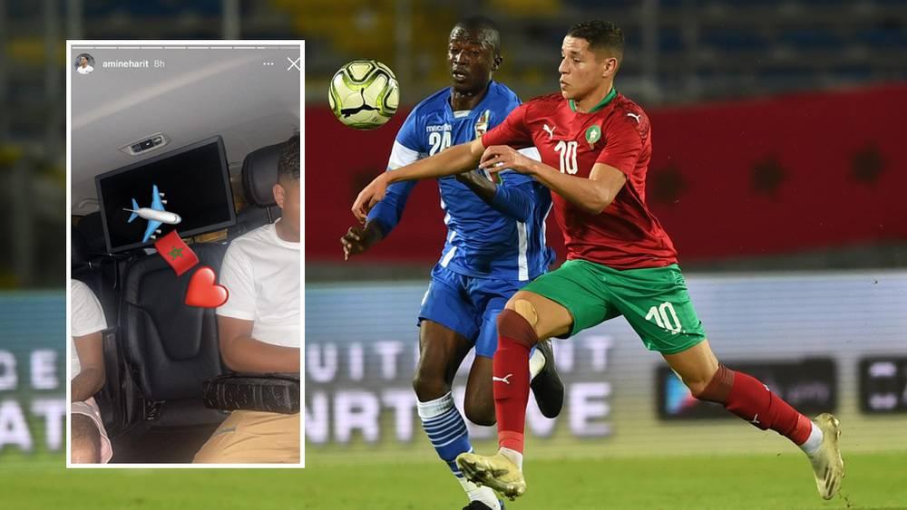 أمين حارث يتوجه إلى المغرب قبل بضعة أيام من انطلاق معسكر المنتخب الوطني