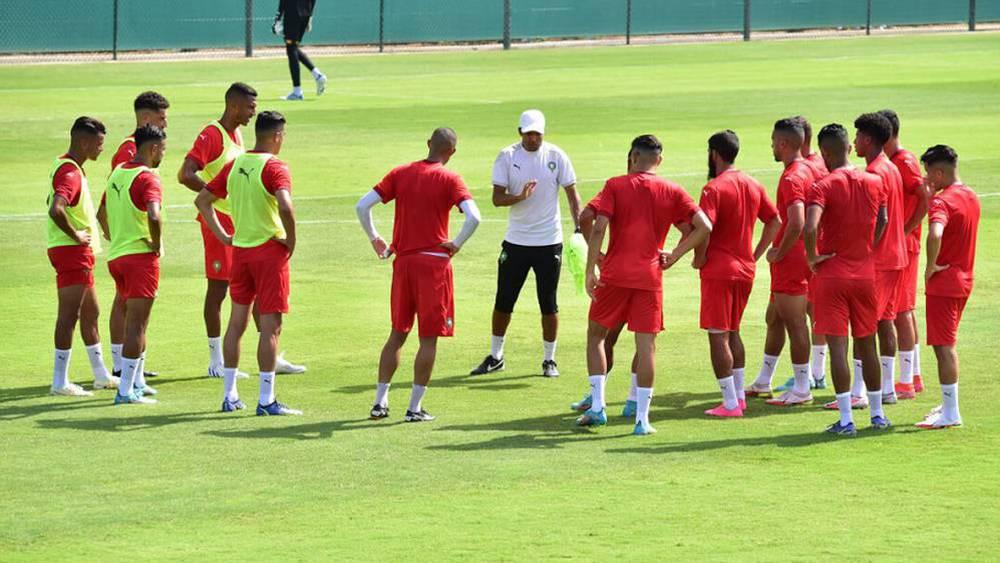 Les Lionceaux poursuivent les entraînements