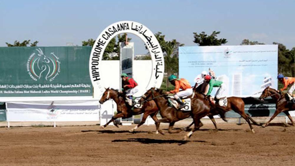 Sports équestres - 8ème édition du Meeting international du Maroc