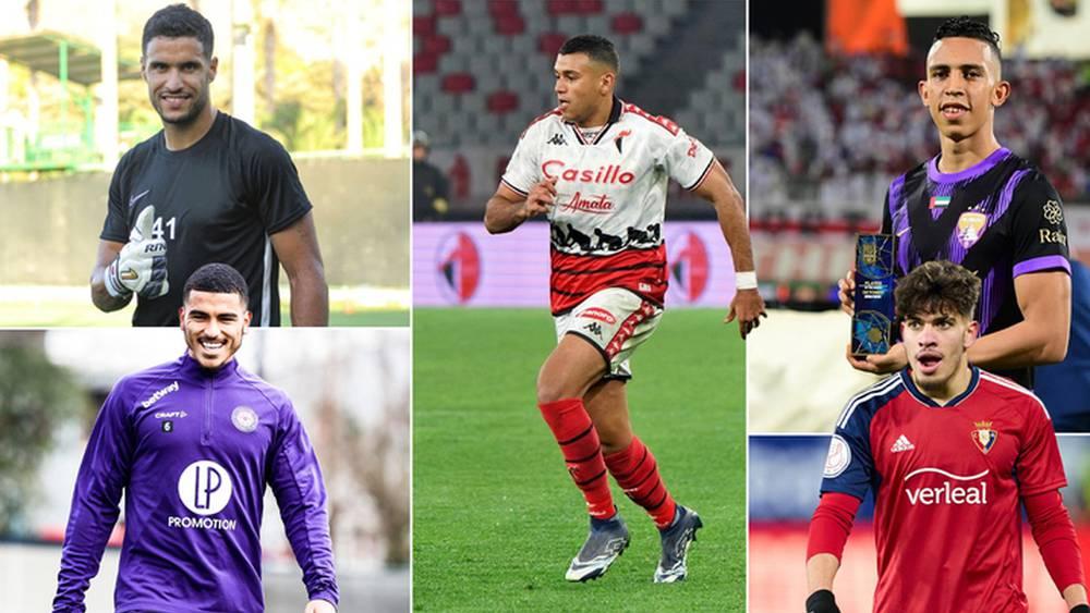 Exclusif - Le tour du Monde des Lions #17