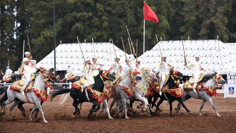 Sports Équestres - Le coup d'envoi du Trophée Hassan II de Tbourida