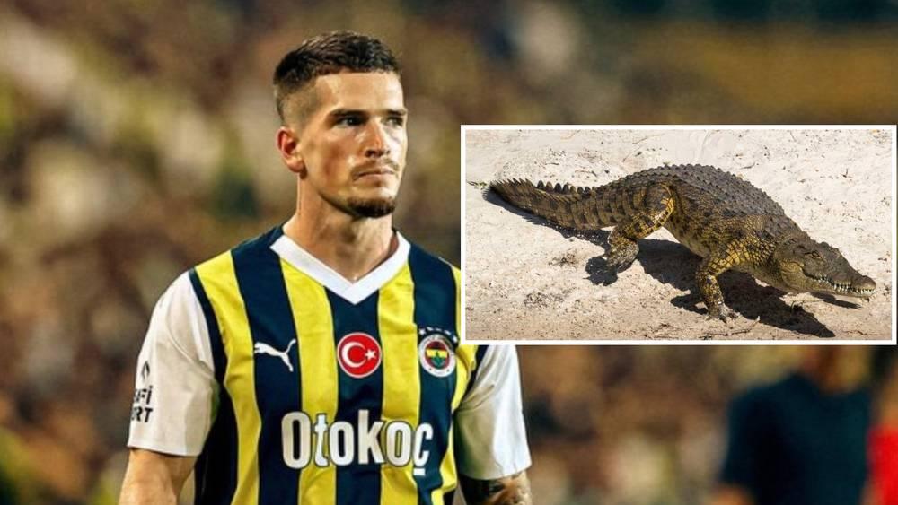 "كينت" لاعب فنربخشة يبحث عن "جليس" لتمساحه براتب 3000 دولار