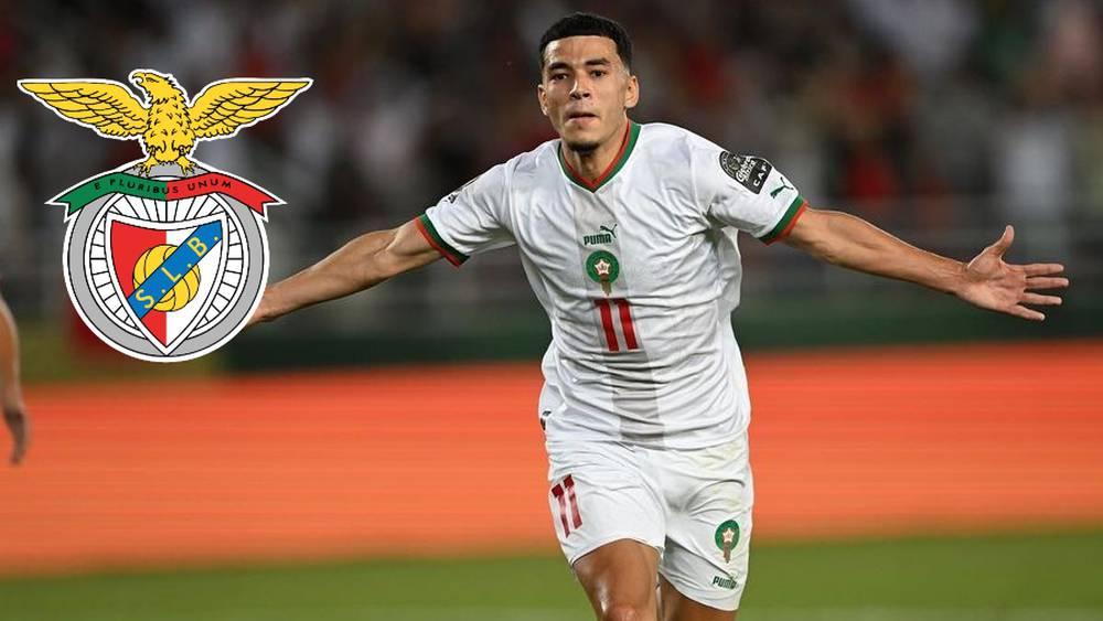 بنفيكا البرتغالي مهتم بالتعاقد مع زكرياء الواحدي في الميركاتو الصيفي