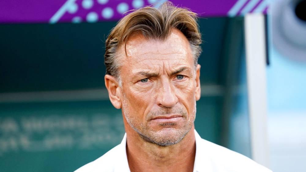 هيرفي رونار: "كأس أمم أفريقيا مُثيرة للإهتمام وأكثر إثارة من 'اليورو'"