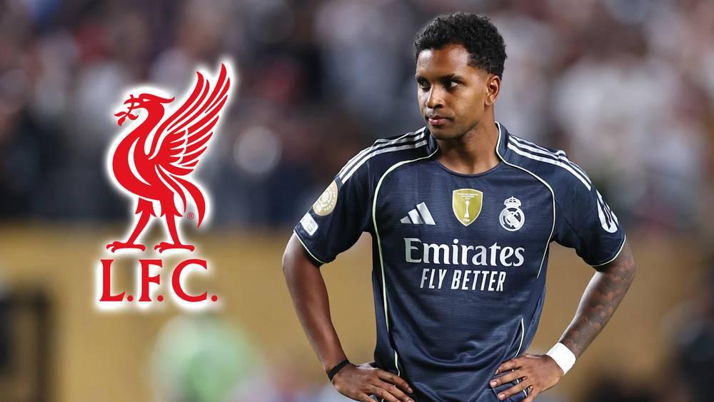 رودريغو يدخل دائرة اهتمامات ليفربول والتعاقد معه مرتبط برحيل لويس دياز