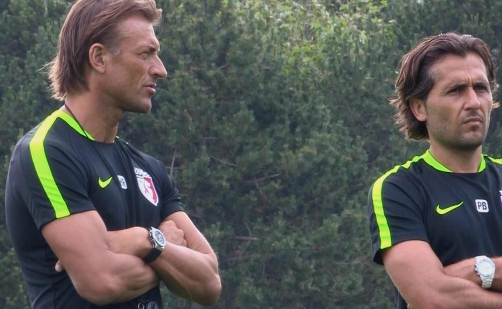 مساعد هيرفي رونار ينفي تفاوضه مع الاتحاد الزامبي لكرة القدم