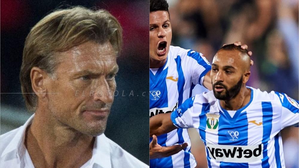 "المغاربة" يُلاحقون رونار بالمواقع الاجتماعية ويُؤاخِذُونه على استبعاد الزّْهر