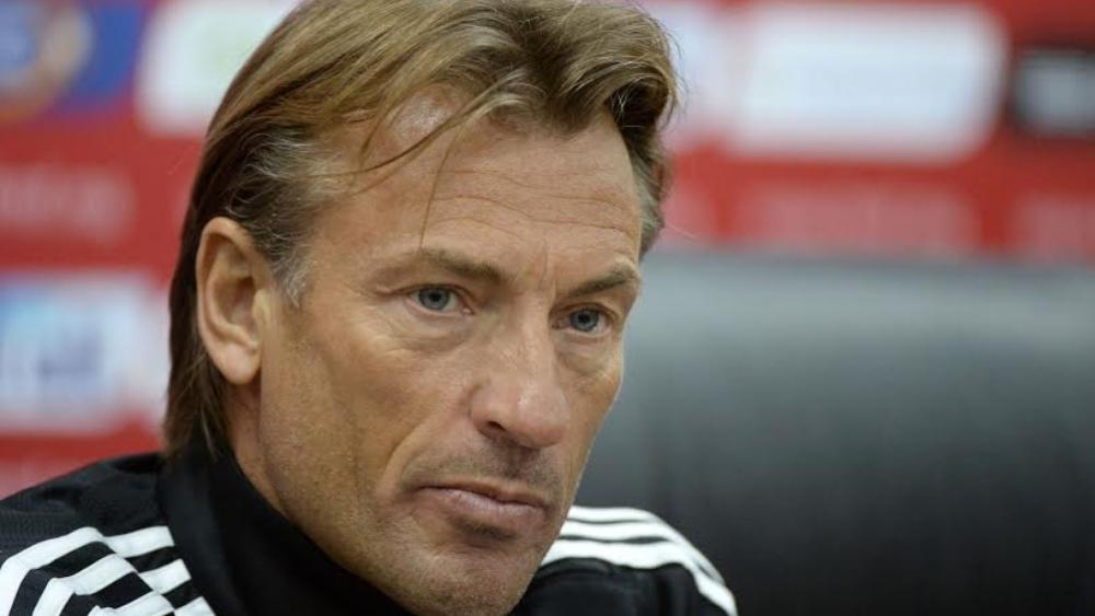 ندوة صحفية لرونار..والمنتخب الوطني يضع آخر اللمسات في "الأب جيكو" قبل مواجهة جزر القمر