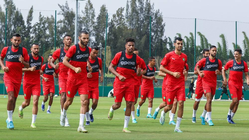 Les Lionceaux poursuivent leur préparation