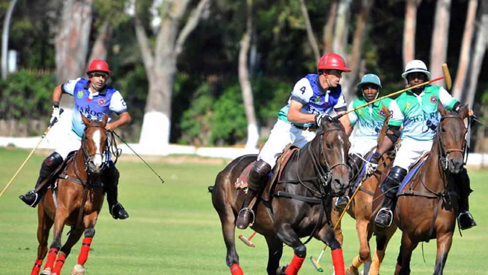 Sports Équestres - Le polo à l'honneur