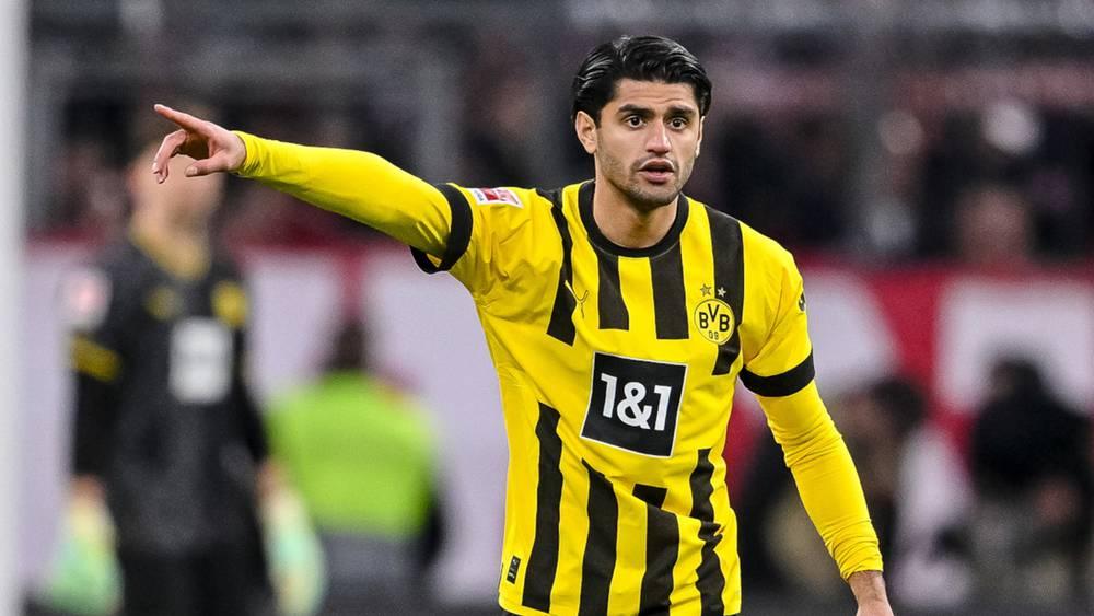 رسميا/ برايتون يضم محمود داوود في صفقة انتقال حر