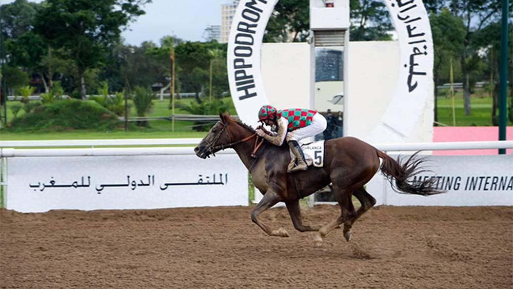 Sports Équestres - Fateenah remporte le prestigieux prix The President of The UAE Cup