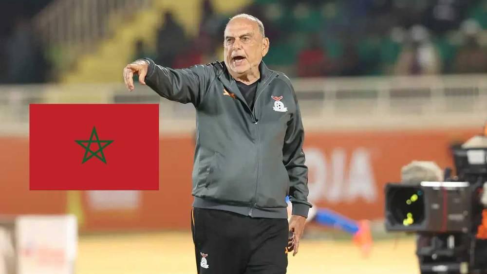 غرانت (مدرب زامبيا): "سنواجه المغرب أقوى منتخب في المجموعة لكن التفوق على الورق لا يعني الفوز"